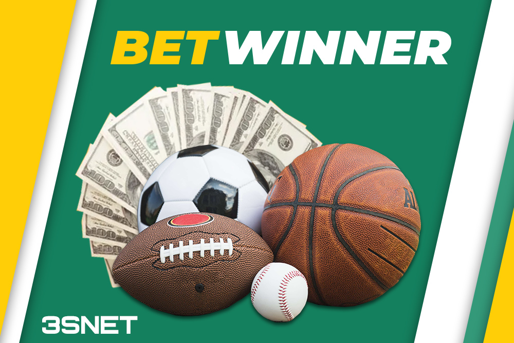 Understanding the Basics of Sports Betting Understanding the Basics of Sports Betting